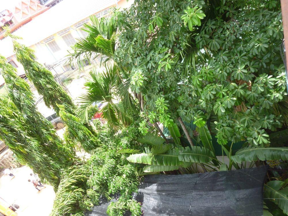 Angkor Reas Guesthouse Сием Реап Екстериор снимка